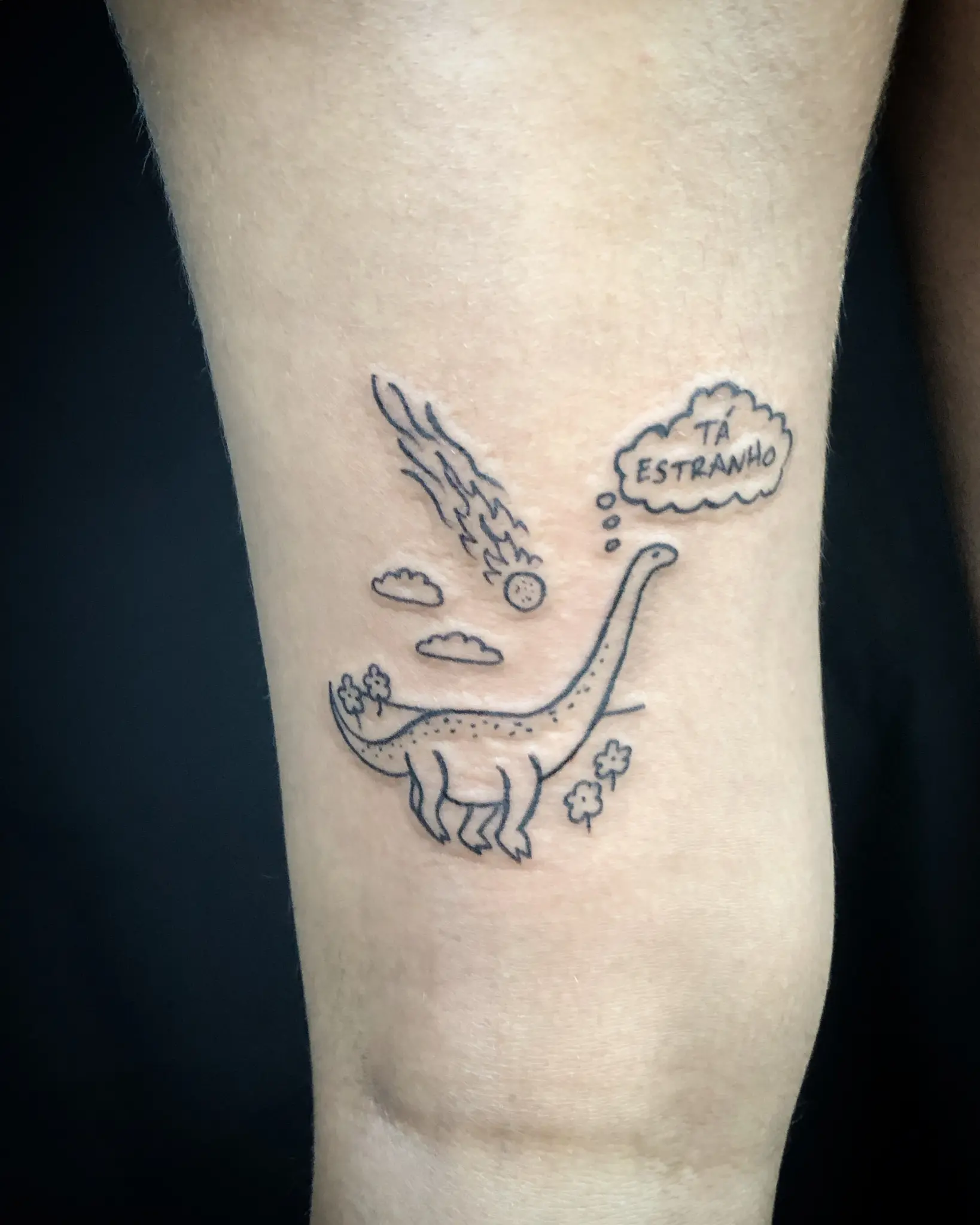 Tatuagem de dinossauro